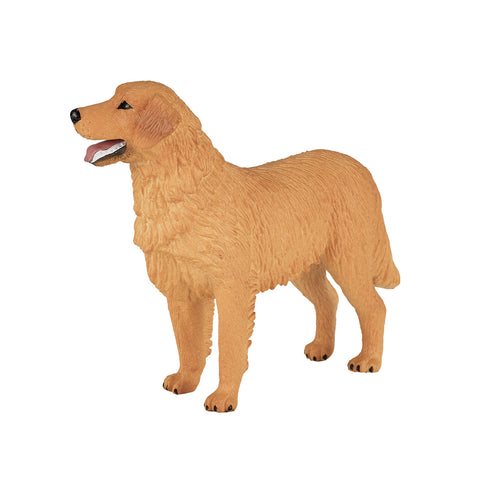 Mojo Farmland Golden Retriever - 387198