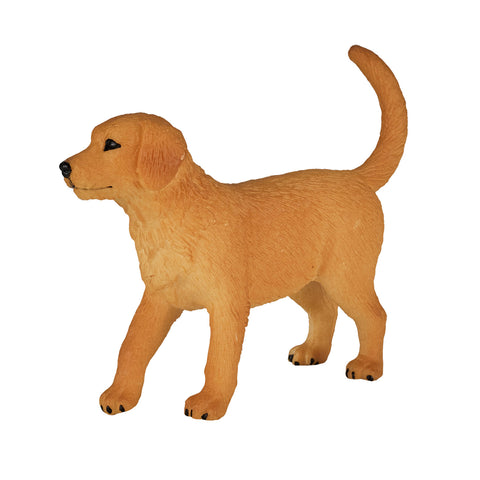 Mojo Farmland Golden Retriever Puppy - 387205