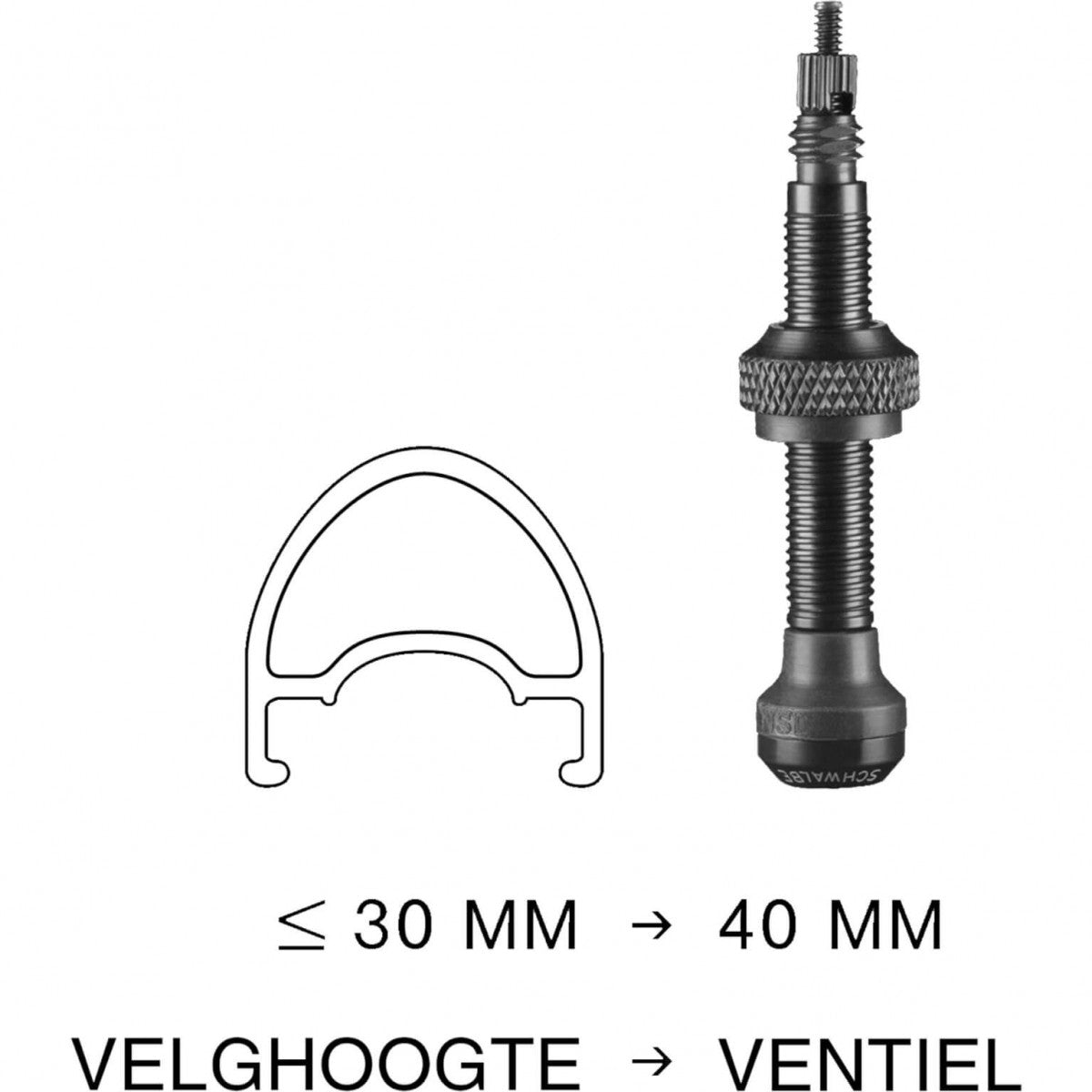 Axa Tubeless ventiel 40mm (2 stuks)