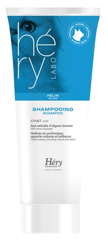 Hery shampoo kat