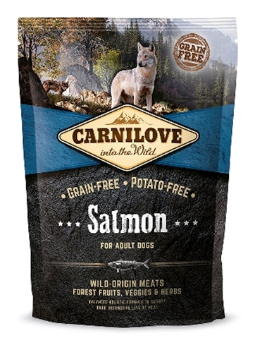 Carnilove salmon adult