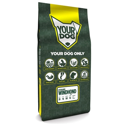 Yourdog afghaanse windhond pup