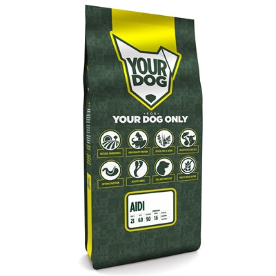 Yourdog aidi senior