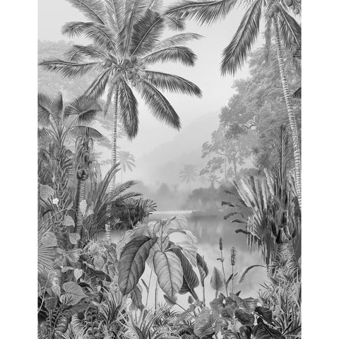 Komar Komar Fotobehang Lac Tropical Black White 200x270 cm