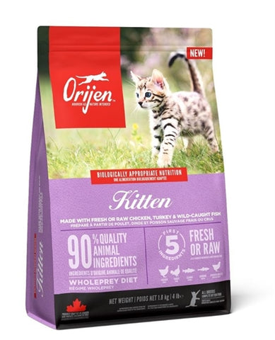 Orijen kitten