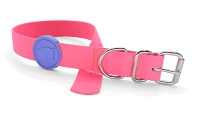 Morso halsband hond waterproof gerecycled passion pink roze