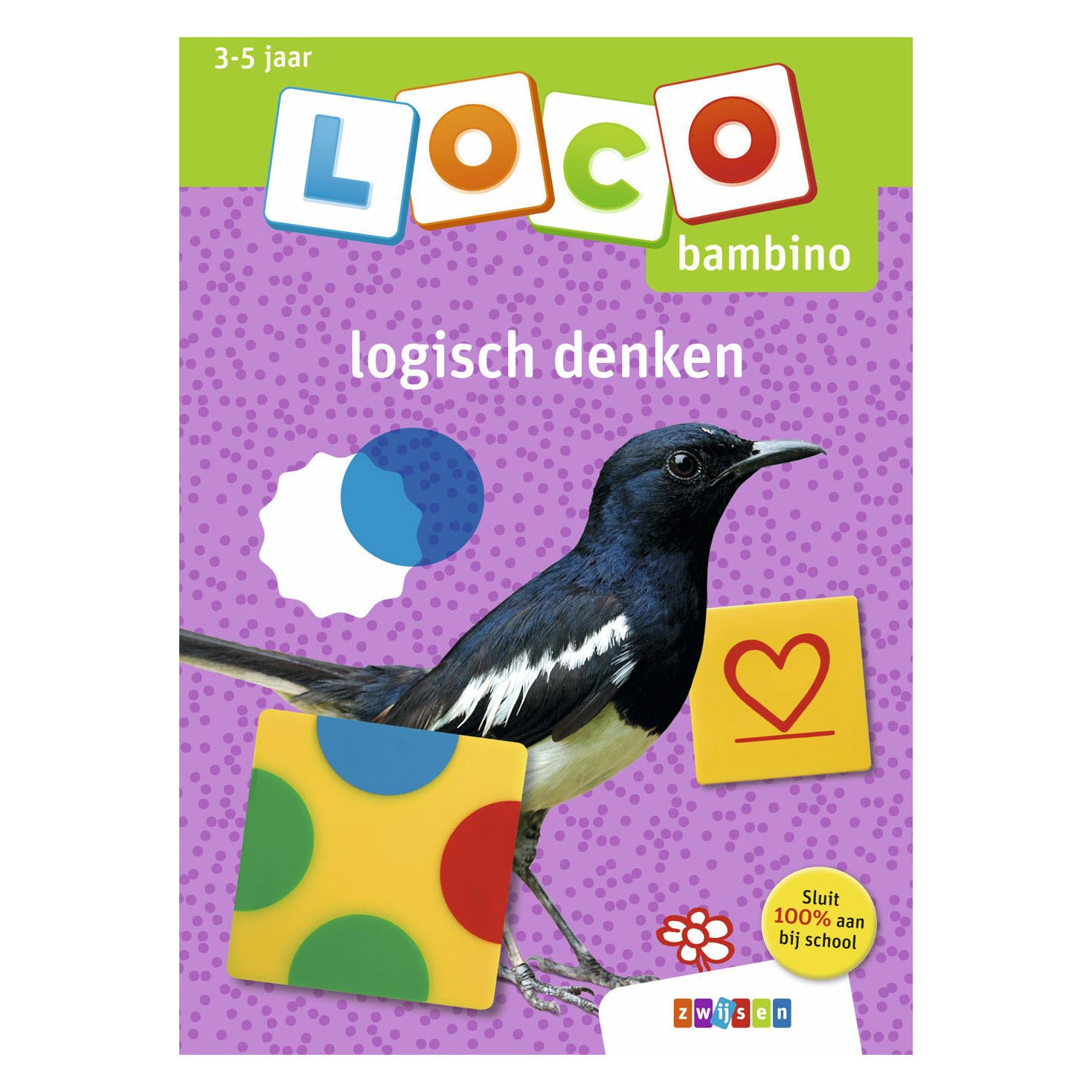 Bambino Loco Logisch denken