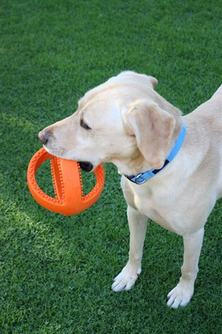 Happy pet grubber interactieve voetbal oranje