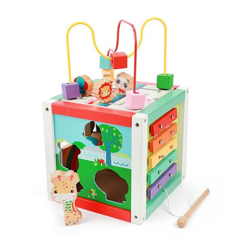 Fisher Price Activiteiten Kubus Hout