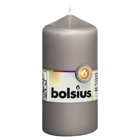 Bolsius Bolsius Stompkaarsen 10 st 120x58 mm warm grijs