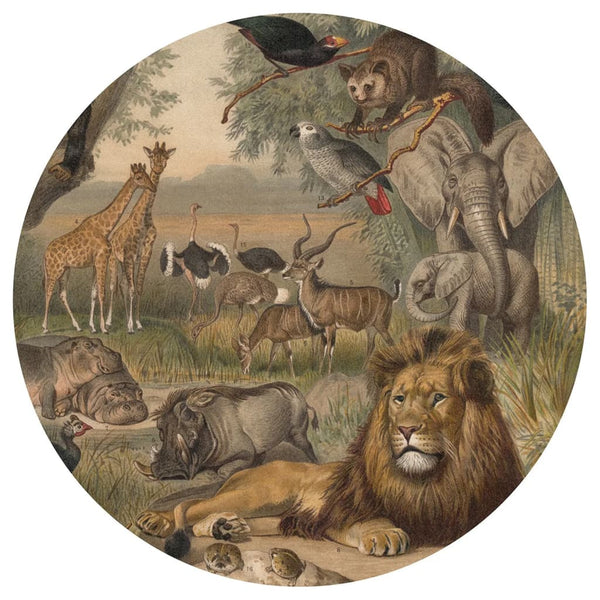 WallArt WallArt Behangcirkel Animals of Africa 142,5 cm