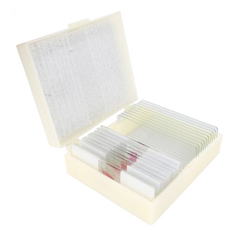 Konus Set de Préparation Bactéries, Organismes Simples (10 Pièces)